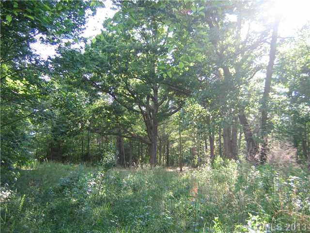 6400 Old Ridge Road Waxhaw, NC 28173 - Photo 12 of 15 a view of forest
