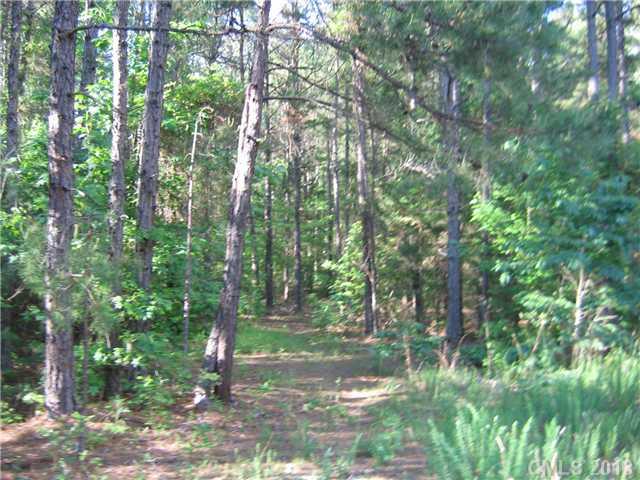 6400 Old Ridge Road Waxhaw, NC 28173 - Photo 13 of 15 a view of a forest with trees