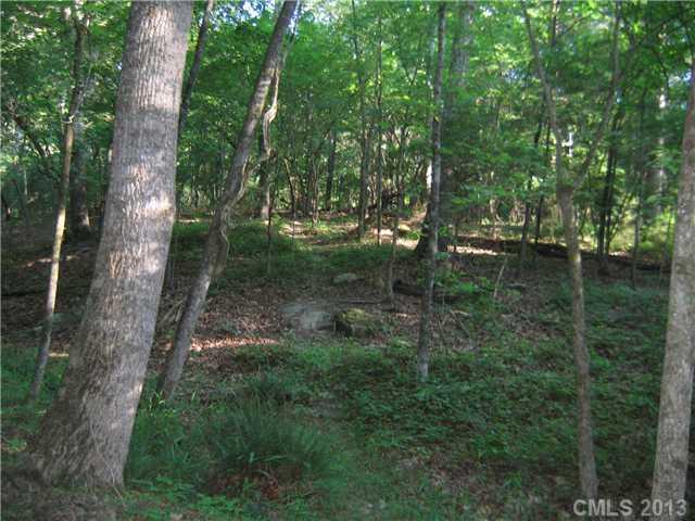 6400 Old Ridge Road Waxhaw, NC 28173 - Photo 14 of 15 a view of a forest with trees