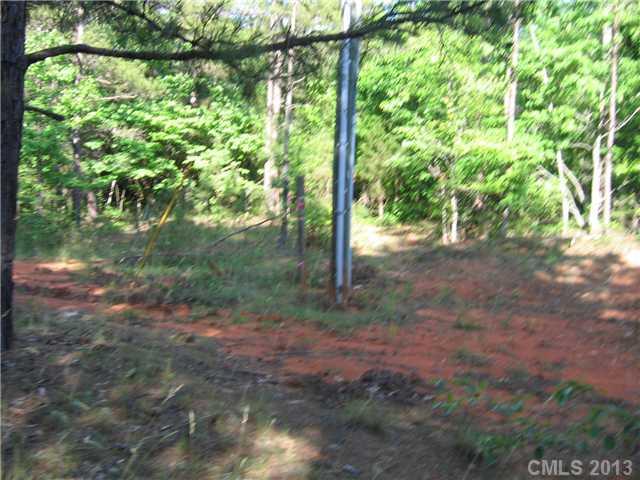 6400 Old Ridge Road Waxhaw, NC 28173 - Photo 15 of 15 a view of a yard with plants and large trees