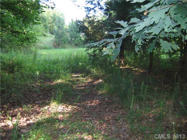 6400 Old Ridge Road Waxhaw, NC 28173 - Photo 7 of 15 a view of a garden with a lake