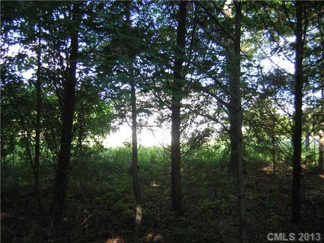 6400 Old Ridge Road Waxhaw, NC 28173 - Photo 8 of 15 a view of forest