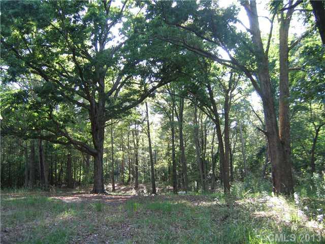 6400 Old Ridge Road Waxhaw, NC 28173 - Photo 10 of 15 a view of outdoor space and yard