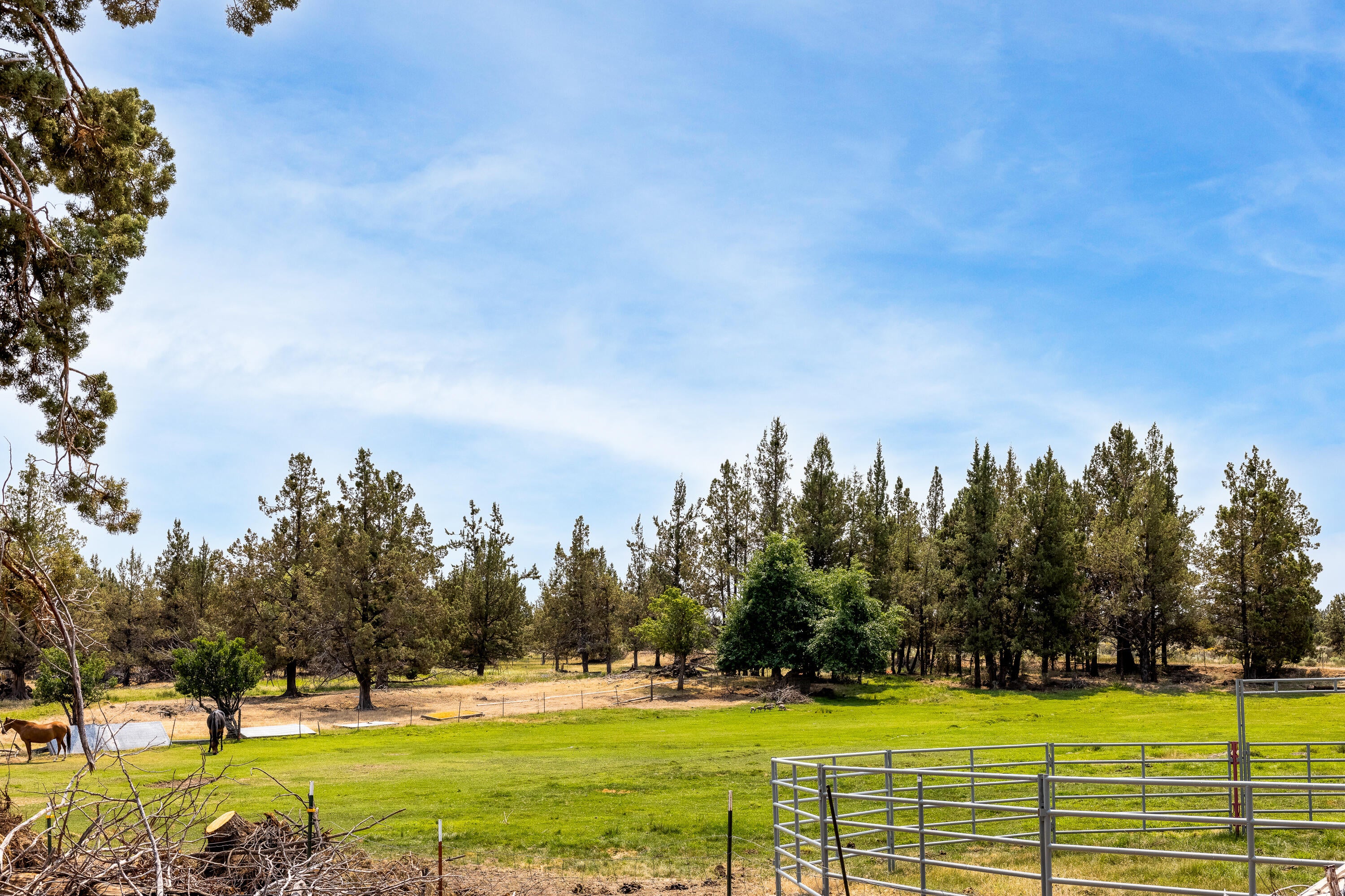 21975 Bear Creek Road Bend, OR 97701 - Photo 24 of 29 Pasture