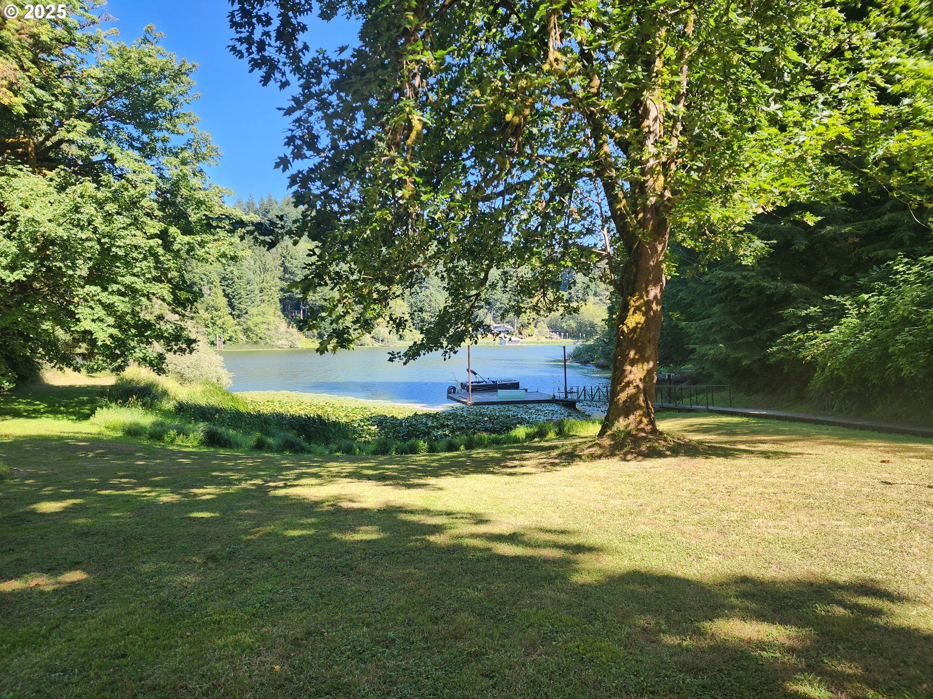 2647 South Tenmile Lakeside, OR 97449 - Photo 11 of 47 a view of a yard with a tree