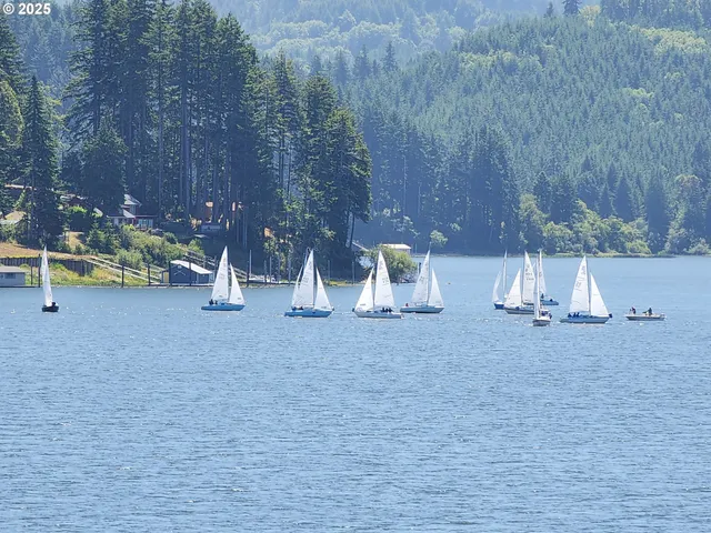 a view of ocean with large trees