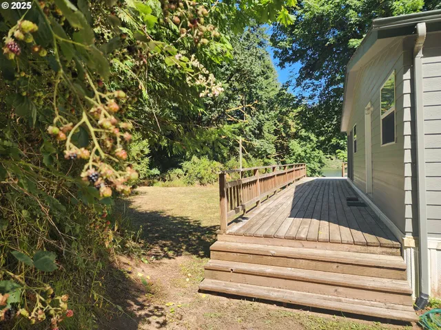 a view of backyard with wooden fence and large trees