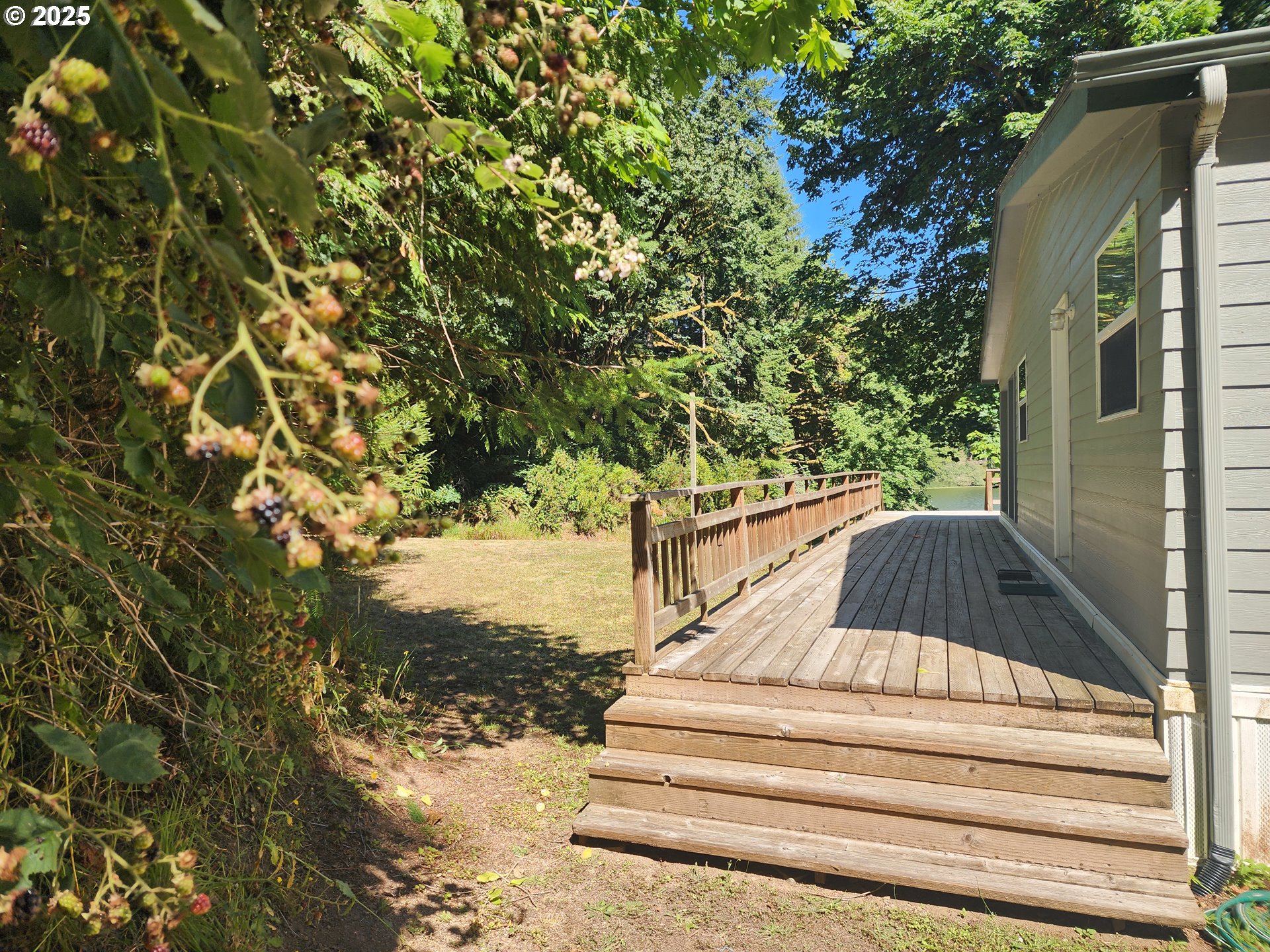 2647 South Tenmile Lakeside, OR 97449 - Photo 8 of 47 a view of backyard with wooden fence and large trees