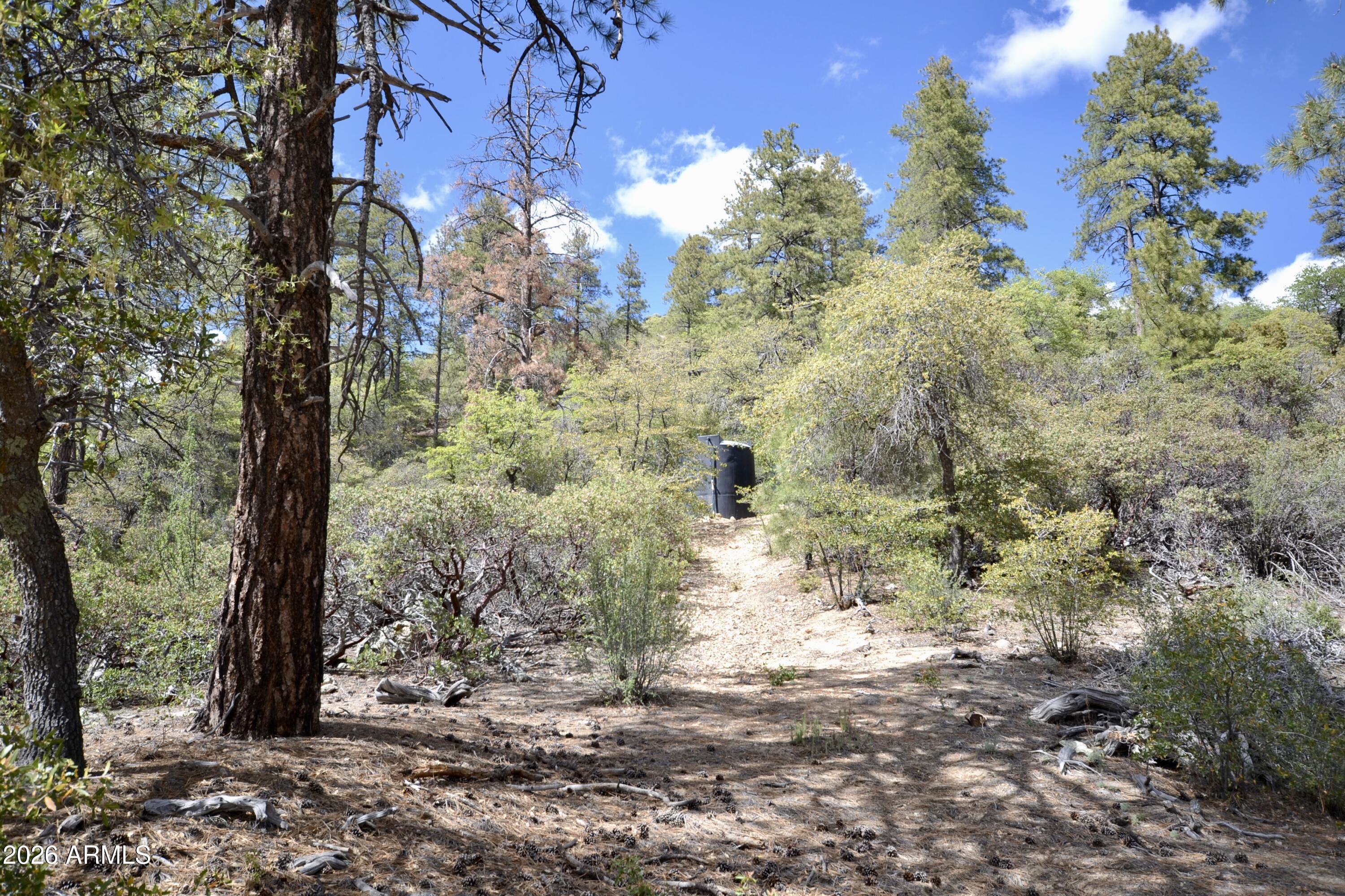 23617 South Demascus Road Crown King, AZ 86343 - Photo 40 of 50 a view of a yard with trees