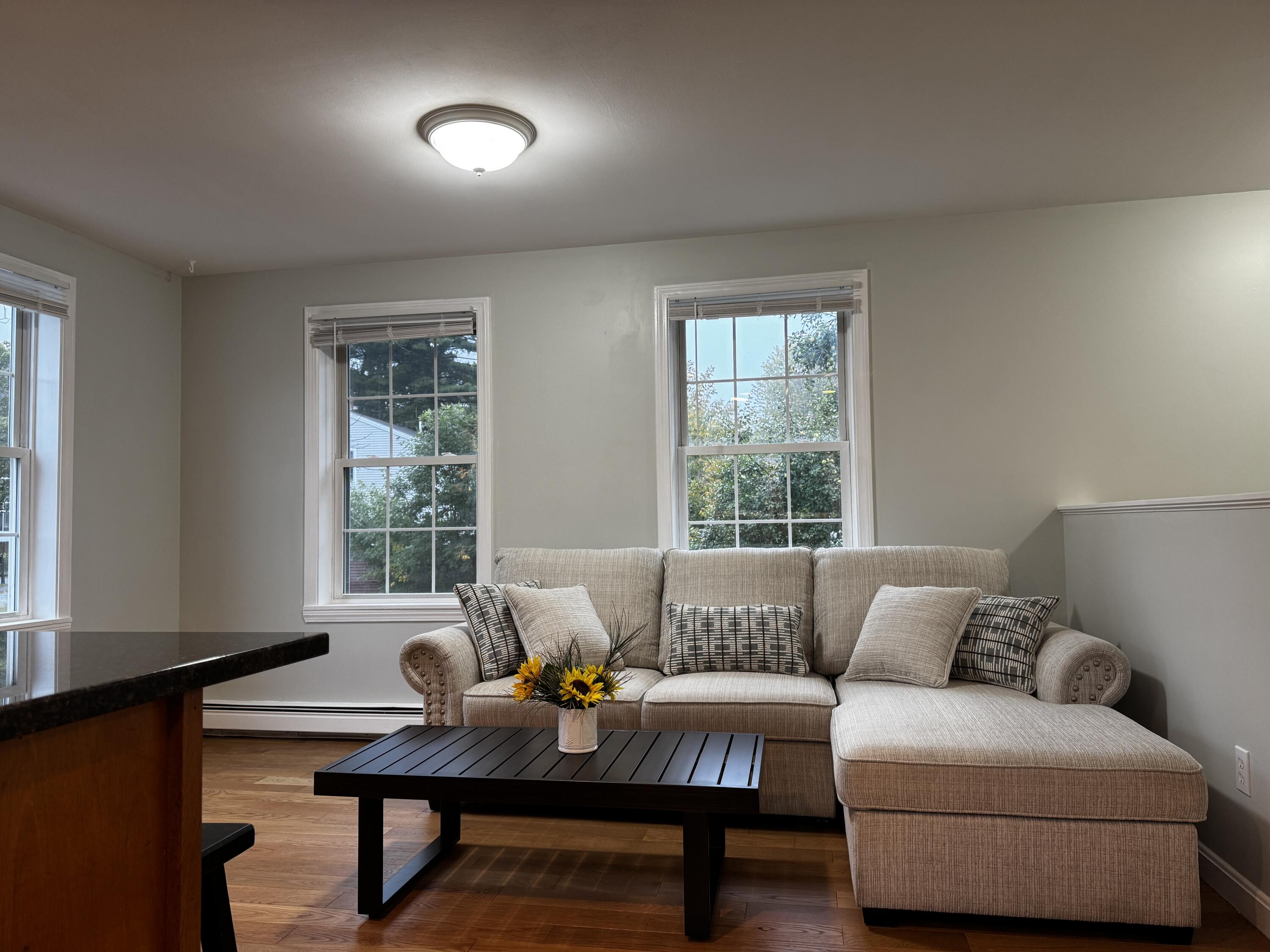5 Verrill Street Portland, ME 04103 - Photo 9 of 41 Living Room