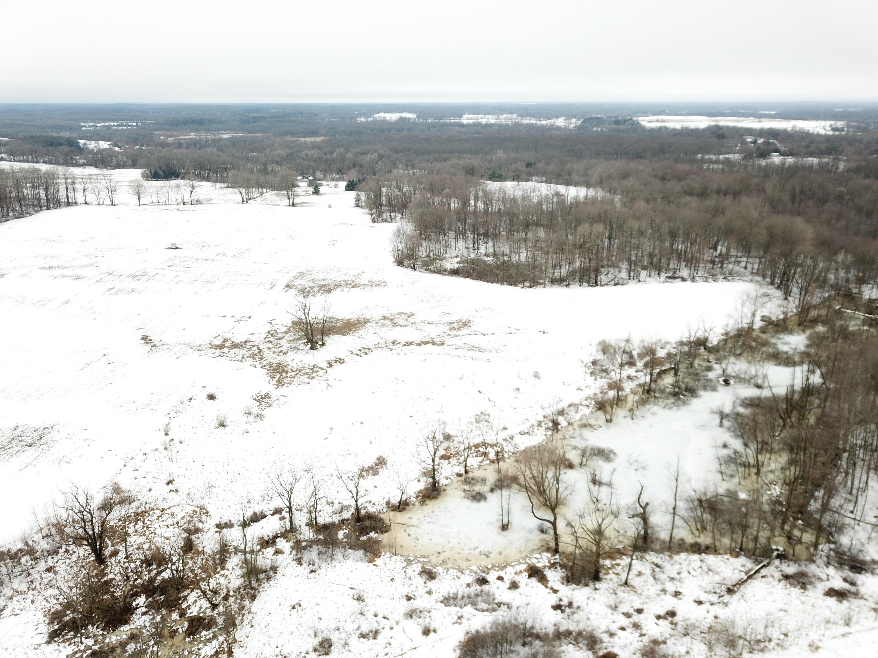 Brady Road Bellevue, MI 49021 - Photo 7 of 11 DJI_0010