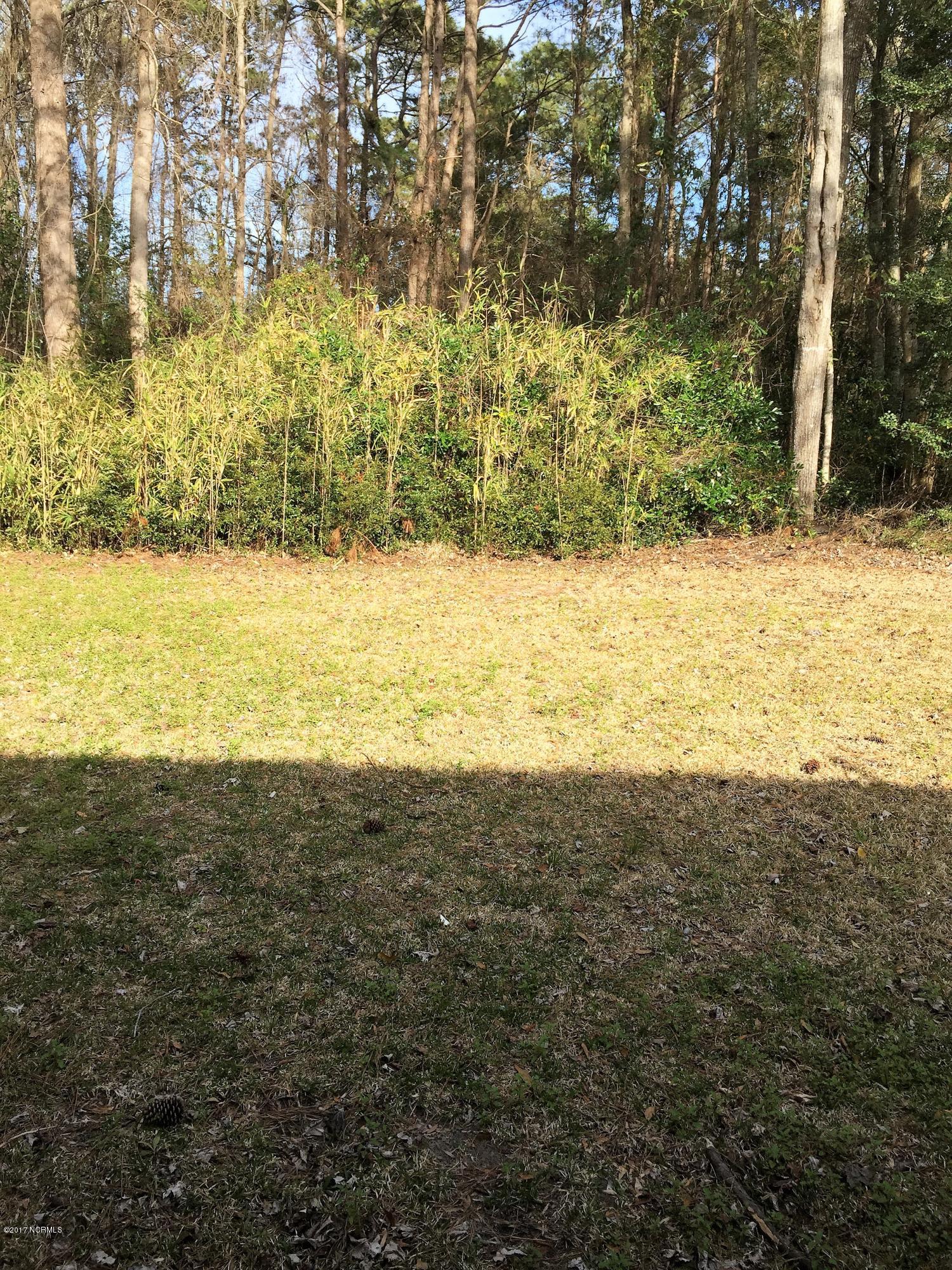 2360 Ralshore Street Southwest Supply, NC 28462 - Photo 11 of 17 bamboo lined back yard