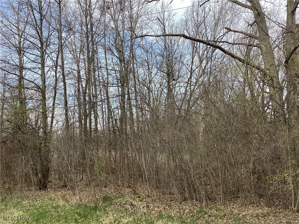 Fortney Road Orwell, OH 44076 - Photo 10 of 18 Gallery Image 10