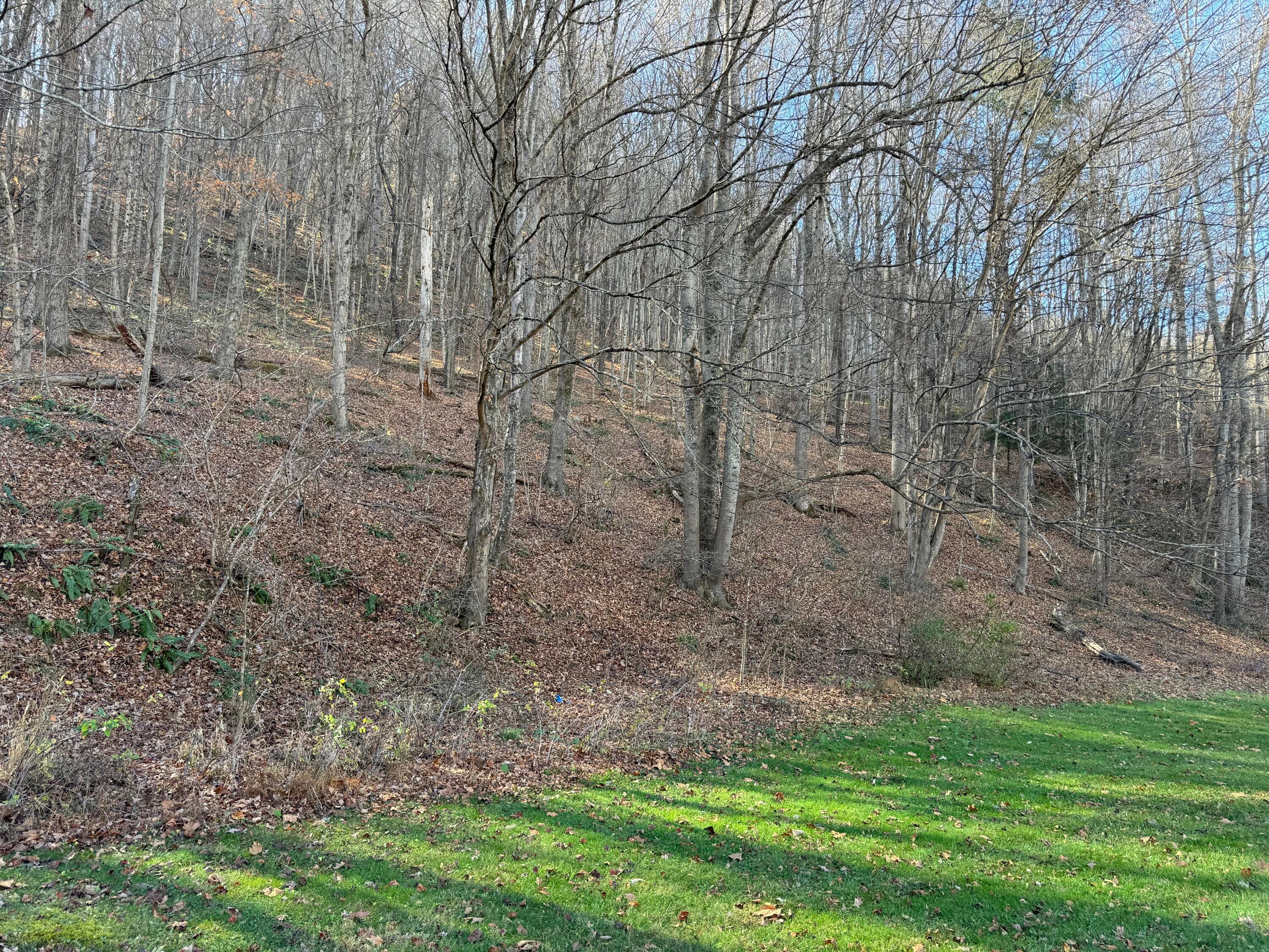 622 Back Valley Road Lindside, WV 24951 - Photo 8 of 45 Gallery Image 8