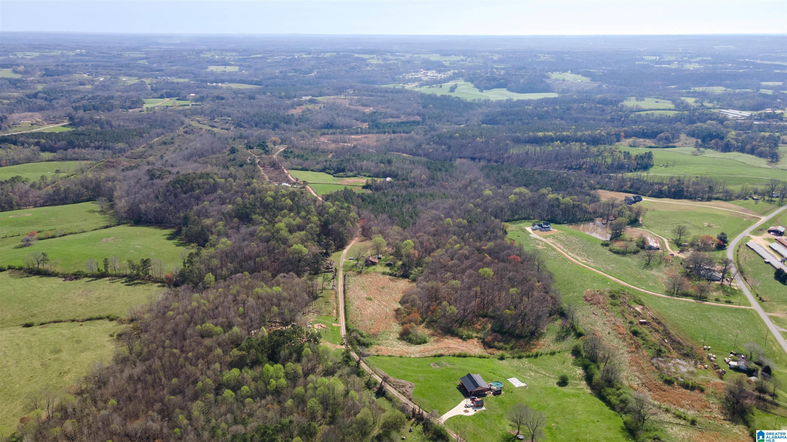0 County Road 670, Unit 1 Ranburne, AL 36273 - Photo 3 of 18