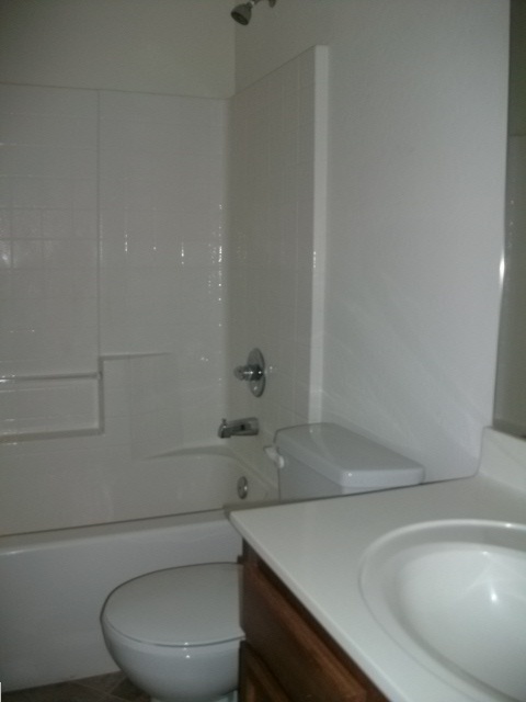 7126 West Beverly Road Laveen, AZ 85339 - Photo 15 of 20 Hall Bathroom