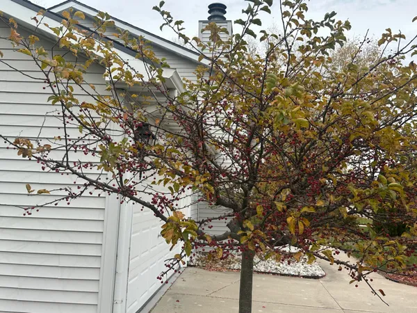 $579,900 | 7765 South Mission Drive, Franklin, WI 53132