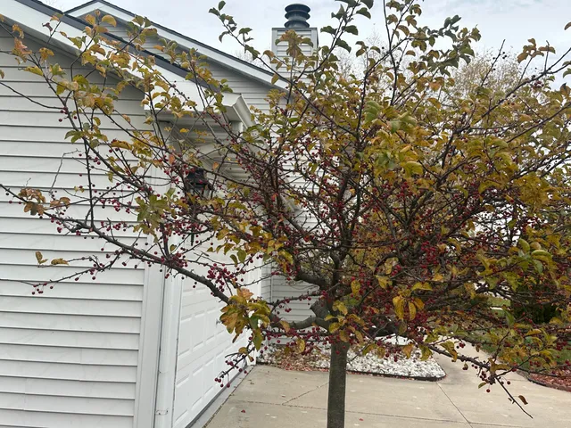 $579,900 | 7765 South Mission Drive, Franklin, WI 53132