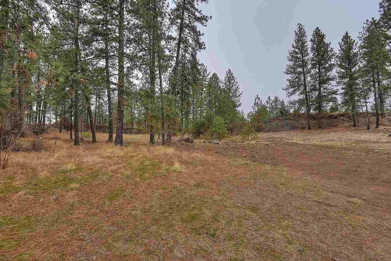 11826 West Deno Road Spokane, WA 99224 - Photo 16 of 18