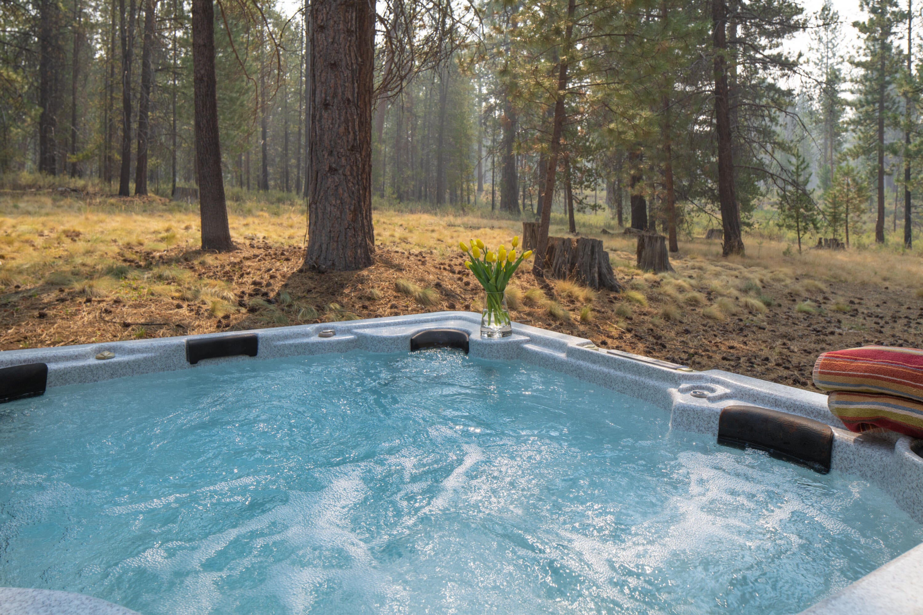 55212 Huntington Road Bend, OR 97707 - Photo 11 of 23 Hot Tub