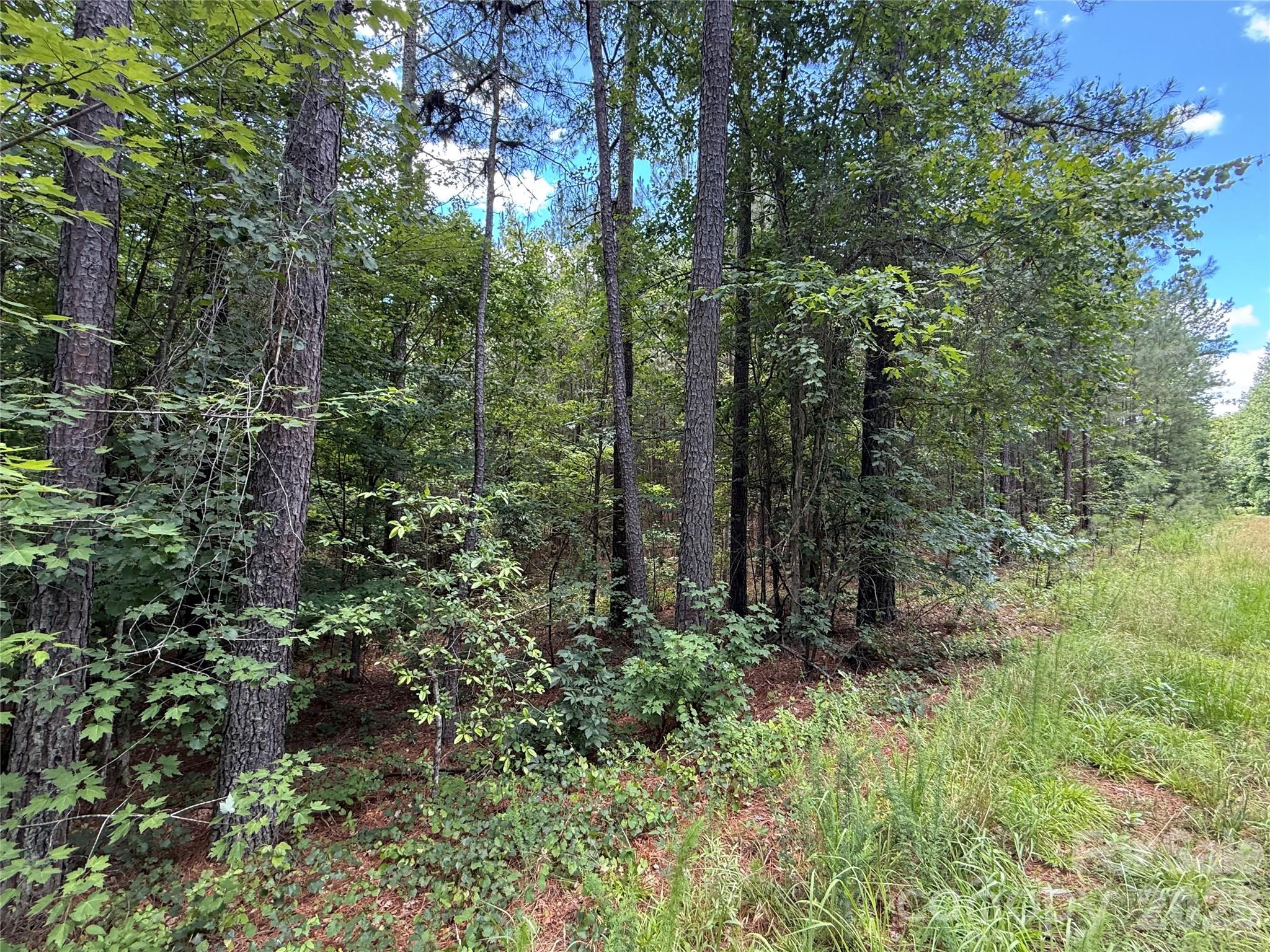 9999 Clark Road Rutherfordton, NC 28139 - Photo 5 of 19