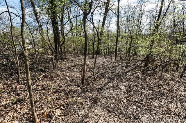 $49,500 | 740 Forest Avenue, Valley Park, MO 63088