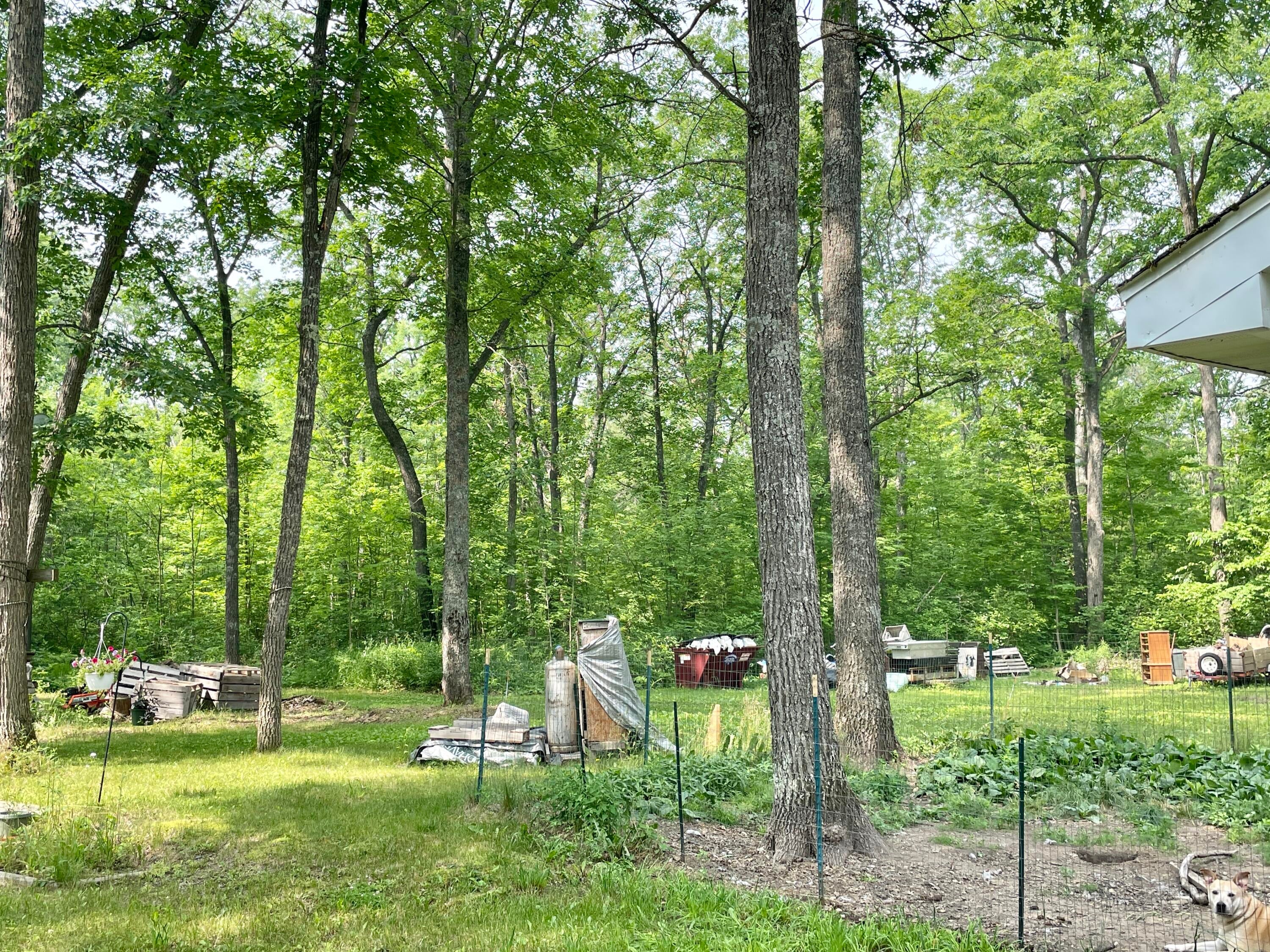 5961 Grandview Road Lewiston, MI 49756 - Photo 18 of 24 Gallery Image 18
