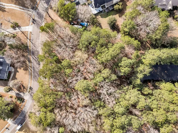$695,000 | 3786 St Ellens Drive, Mount Pleasant, SC 29466