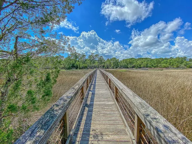 $695,000 | 3786 St Ellens Drive, Mount Pleasant, SC 29466