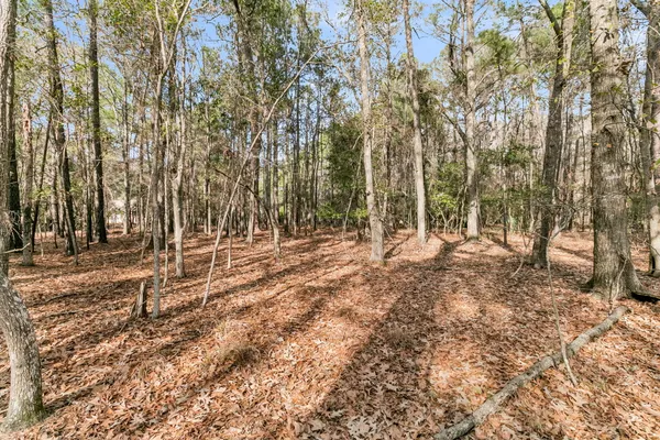 $695,000 | 3786 St Ellens Drive, Mount Pleasant, SC 29466