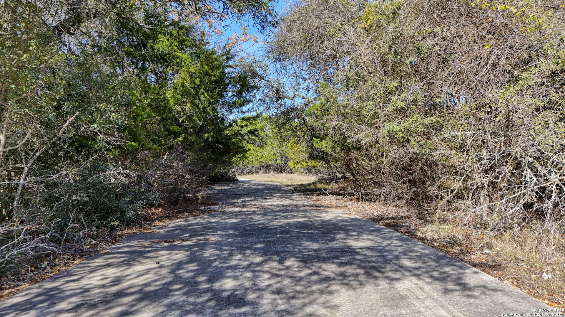 78 Brook Ridge Boerne, TX 78015 - Photo 38 of 59 a view of a yard with plants and trees