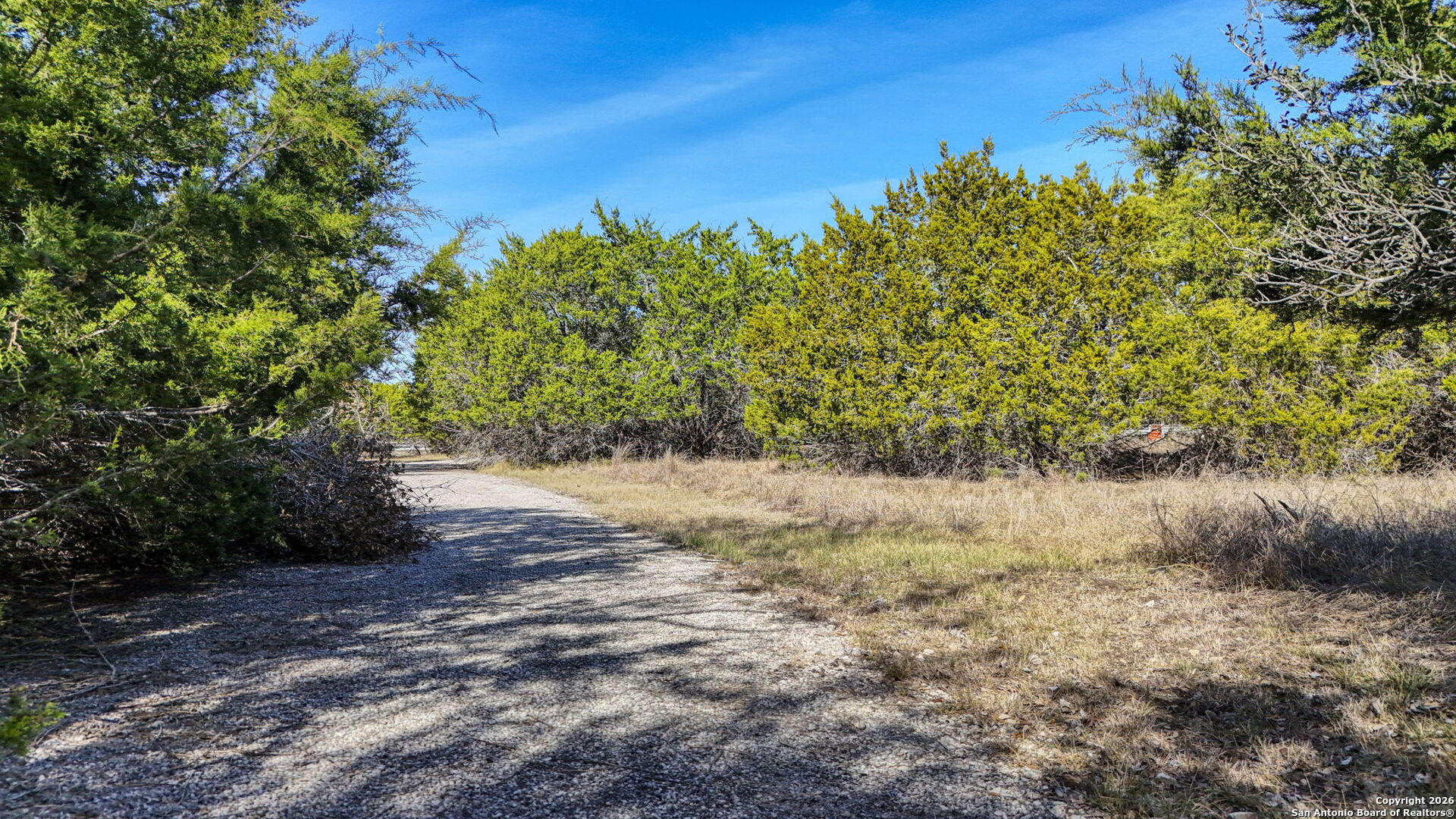 78 Brook Ridge Boerne, TX 78015 - Photo 39 of 59 a view of a yard with a tree