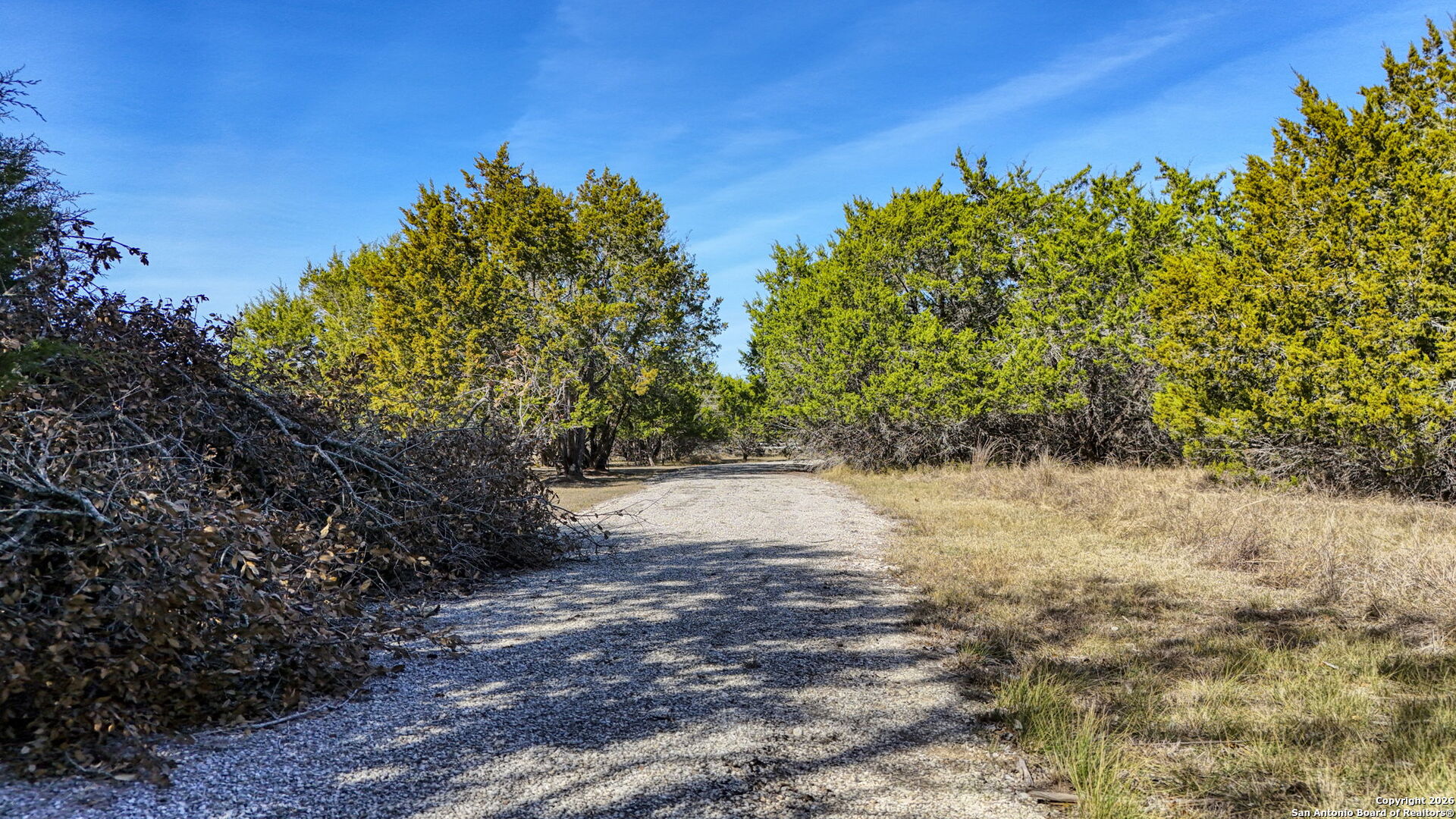 78 Brook Ridge Boerne, TX 78015 - Photo 40 of 59 a view of a yard with plants and large trees