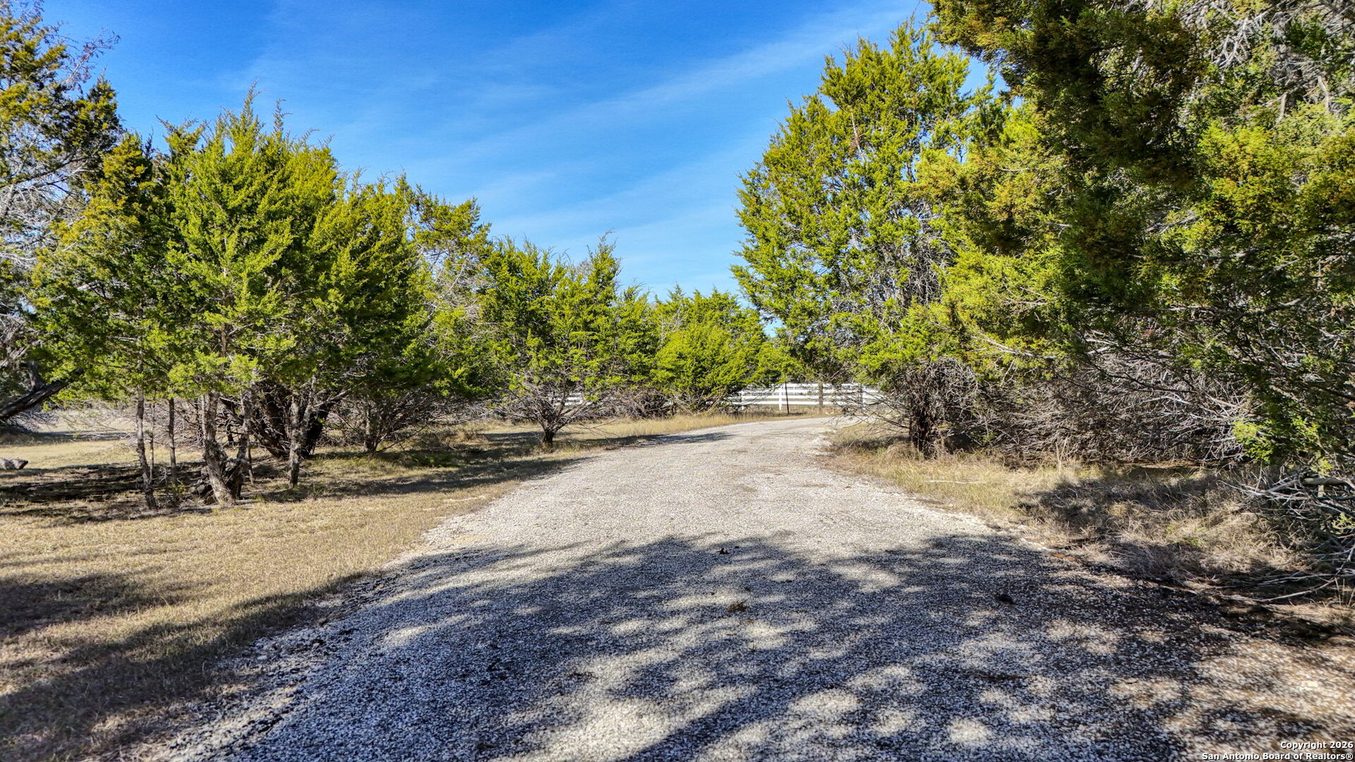 78 Brook Ridge Boerne, TX 78015 - Photo 42 of 59 a view of road with large trees