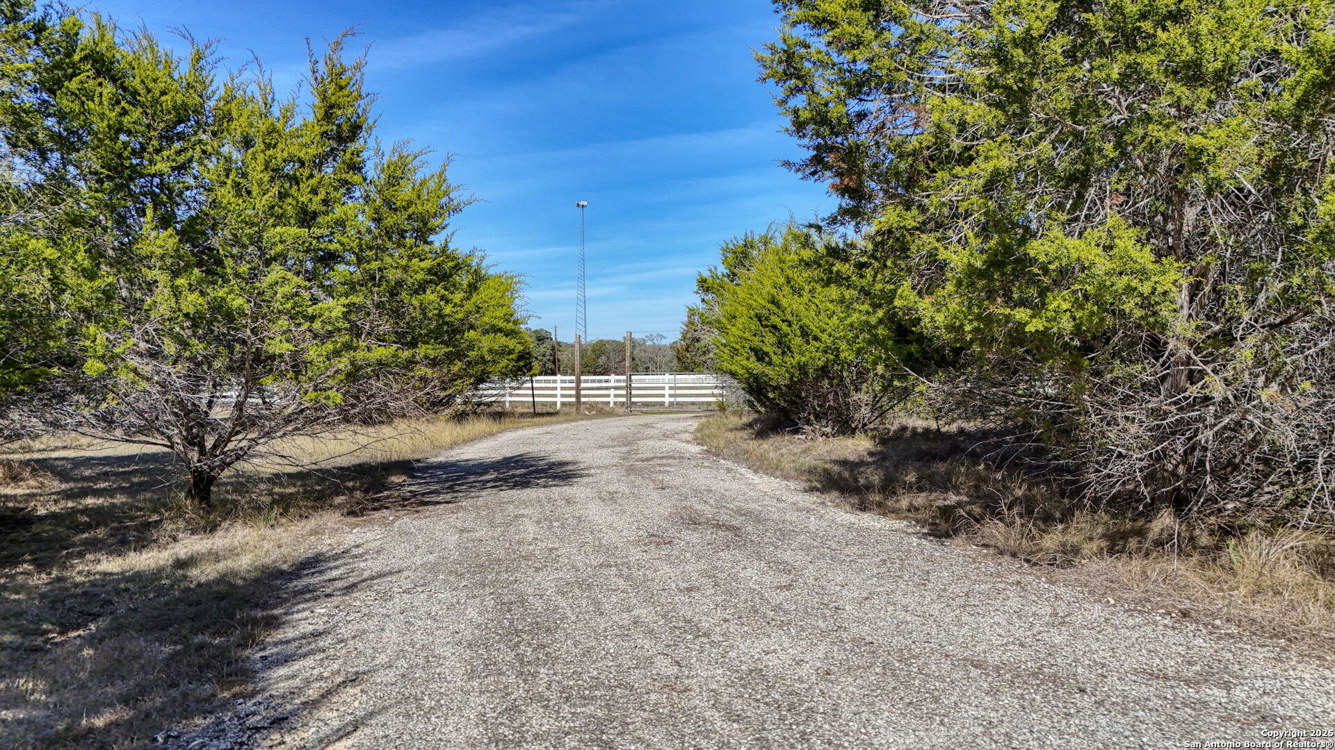 78 Brook Ridge Boerne, TX 78015 - Photo 43 of 59 a view of a yard with plants and trees