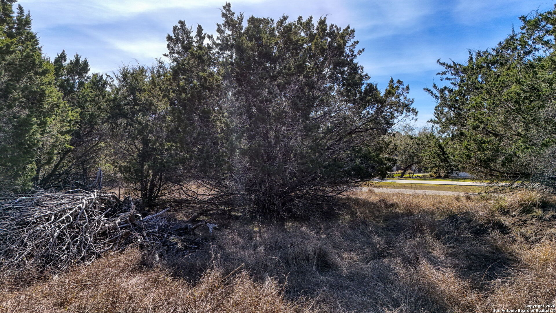 78 Brook Ridge Boerne, TX 78015 - Photo 48 of 59