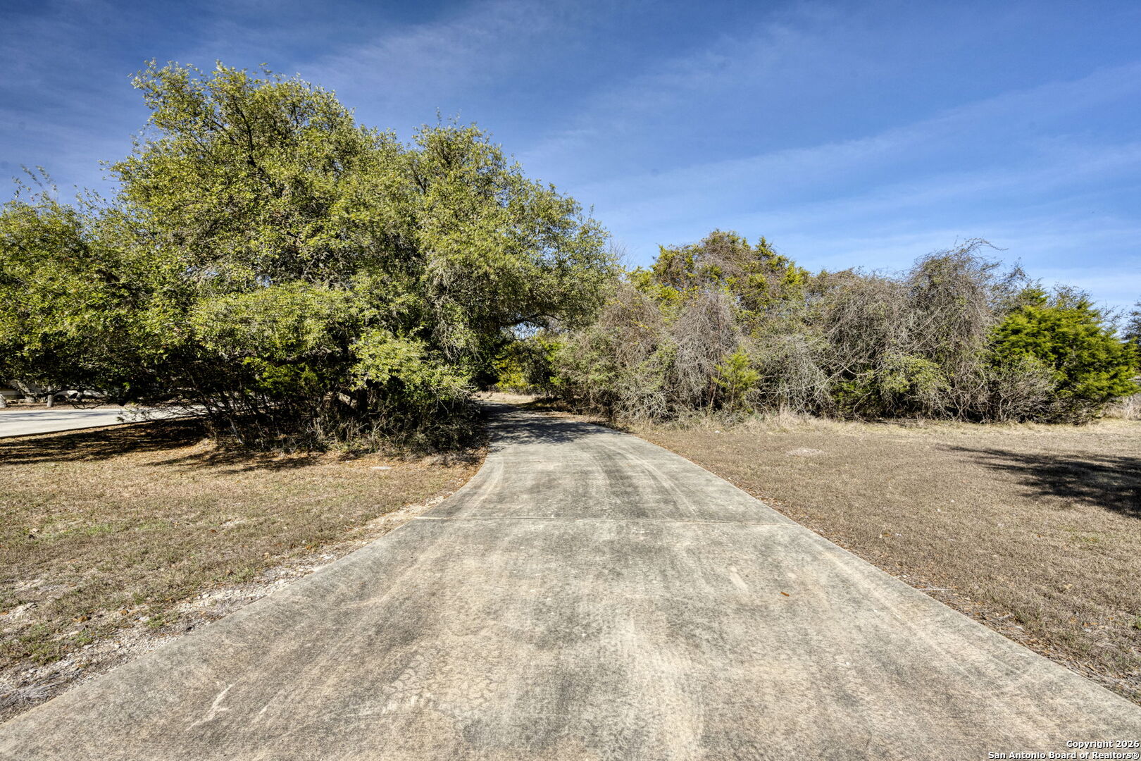78 Brook Ridge Boerne, TX 78015 - Photo 54 of 59 a view of a yard with a tree