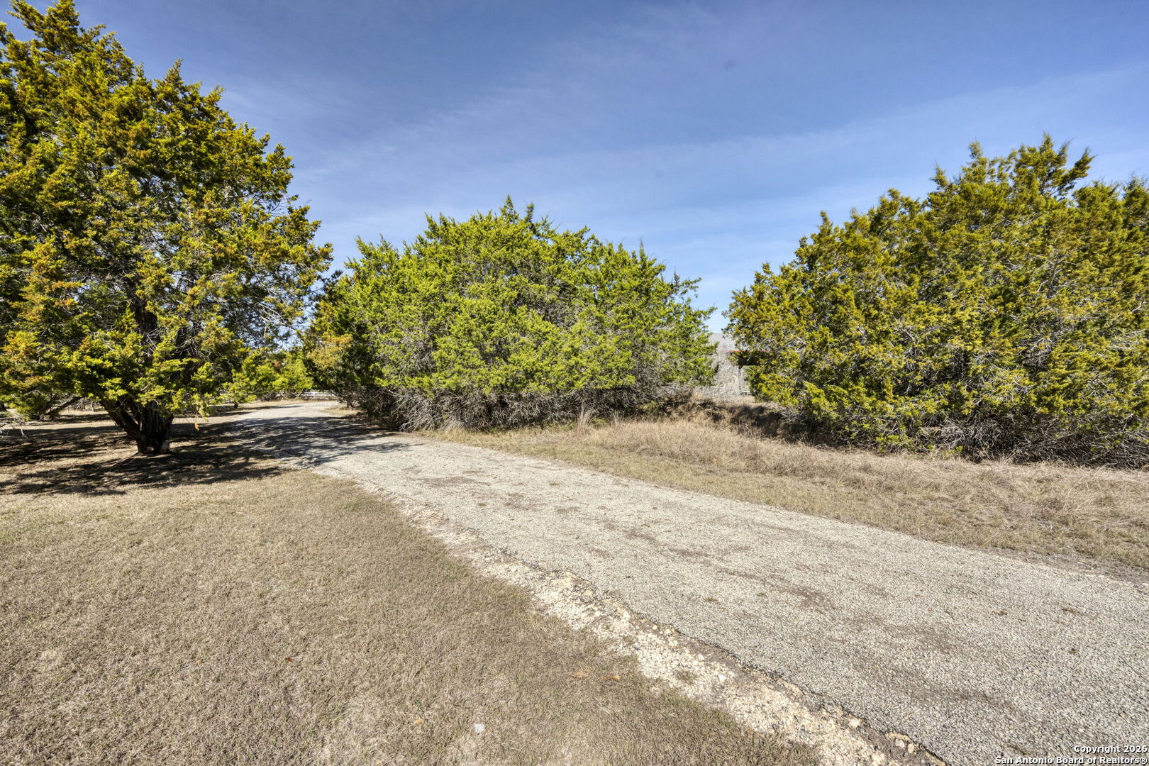 78 Brook Ridge Boerne, TX 78015 - Photo 56 of 59 a view of a road with plants and a trees