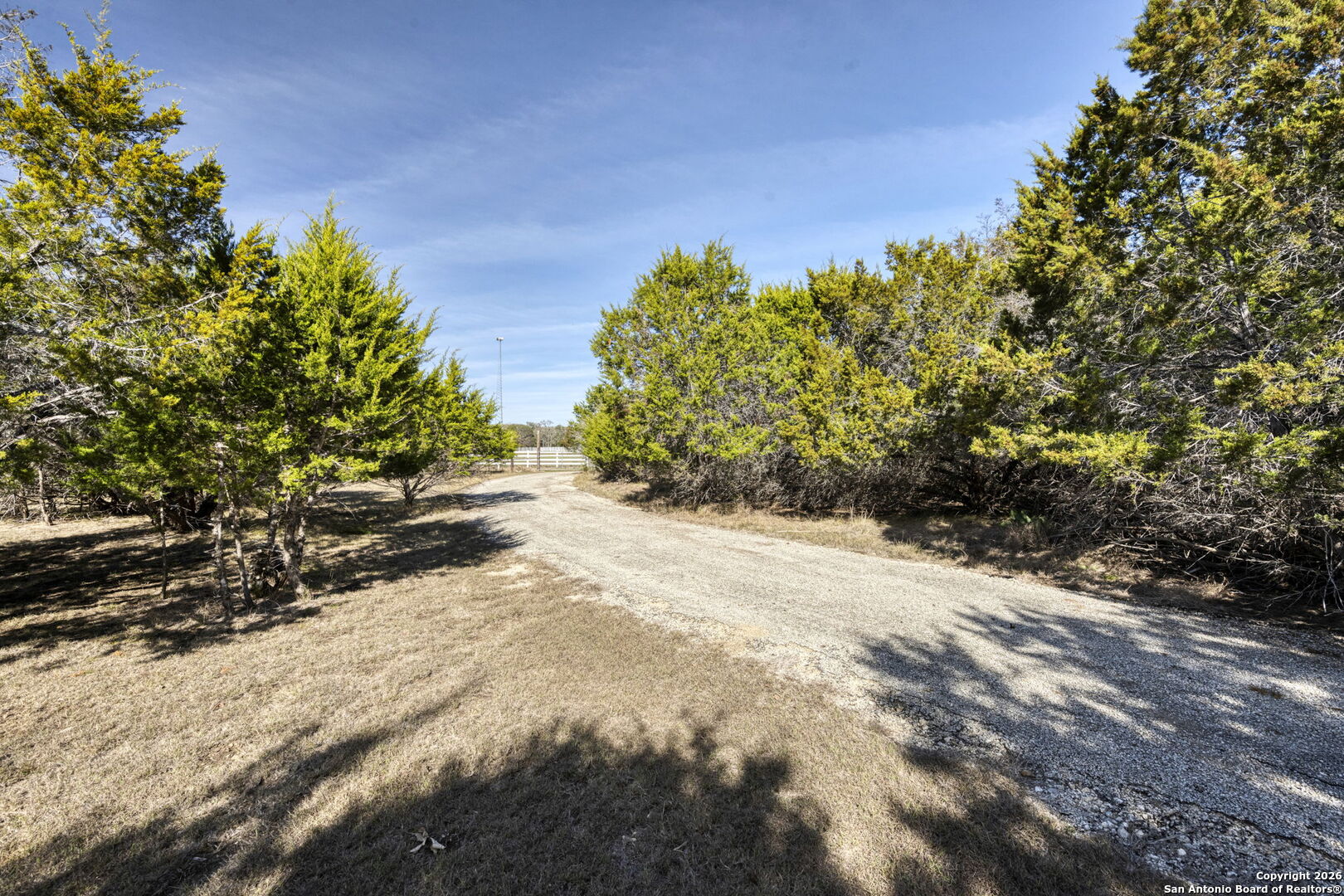 78 Brook Ridge Boerne, TX 78015 - Photo 57 of 59 a view of a yard with plants and trees