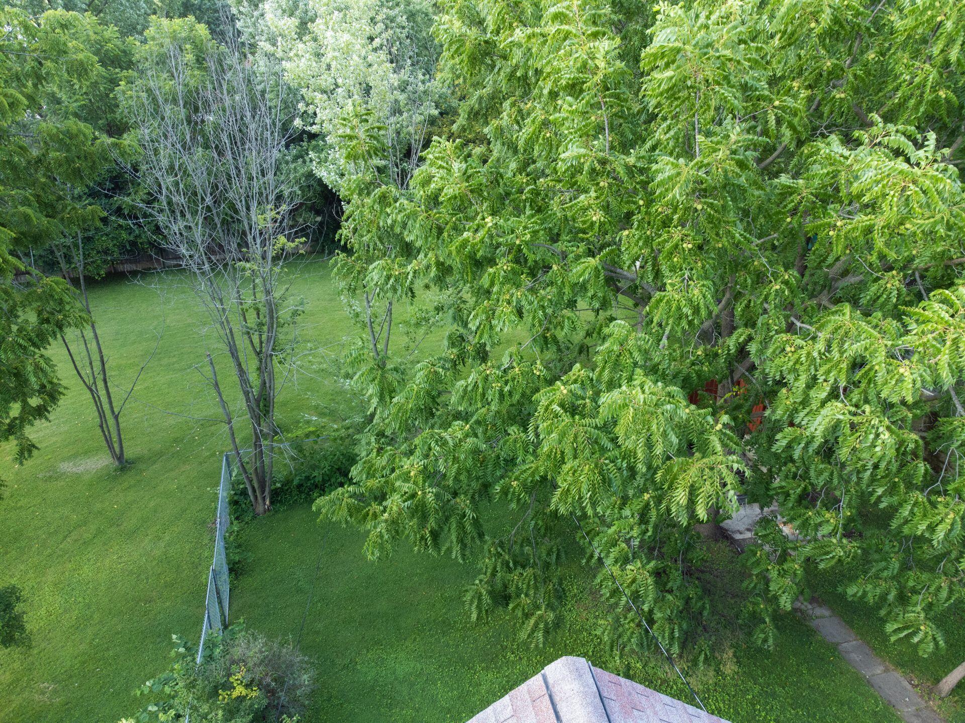 100 Colton Road Columbus, OH 43207 - Photo 39 of 40 044_c94-bb675ca17ce4_DJI_0012