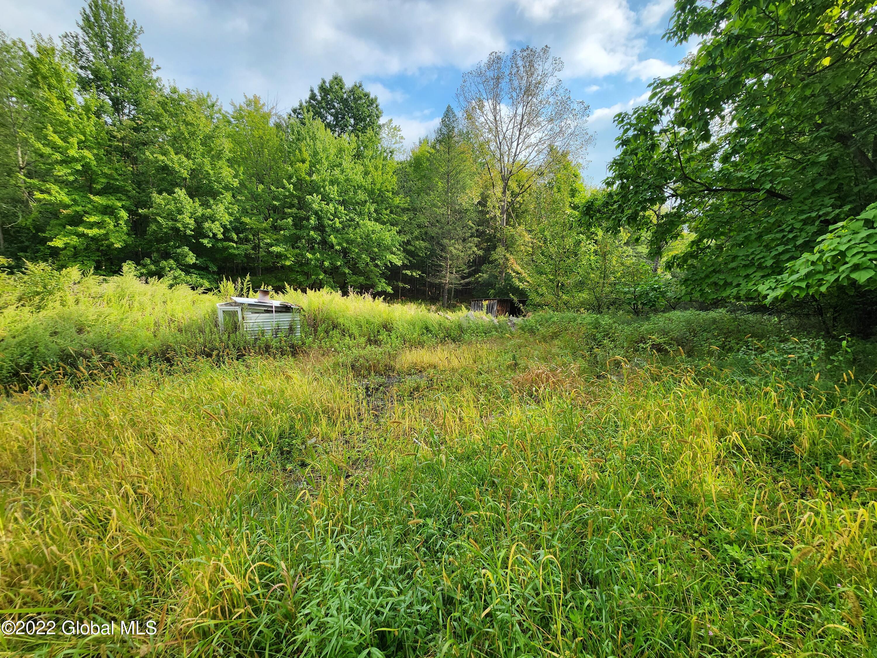 125 Slivko Road Nassau, NY 12123 - Photo 2 of 7 20220919_100348