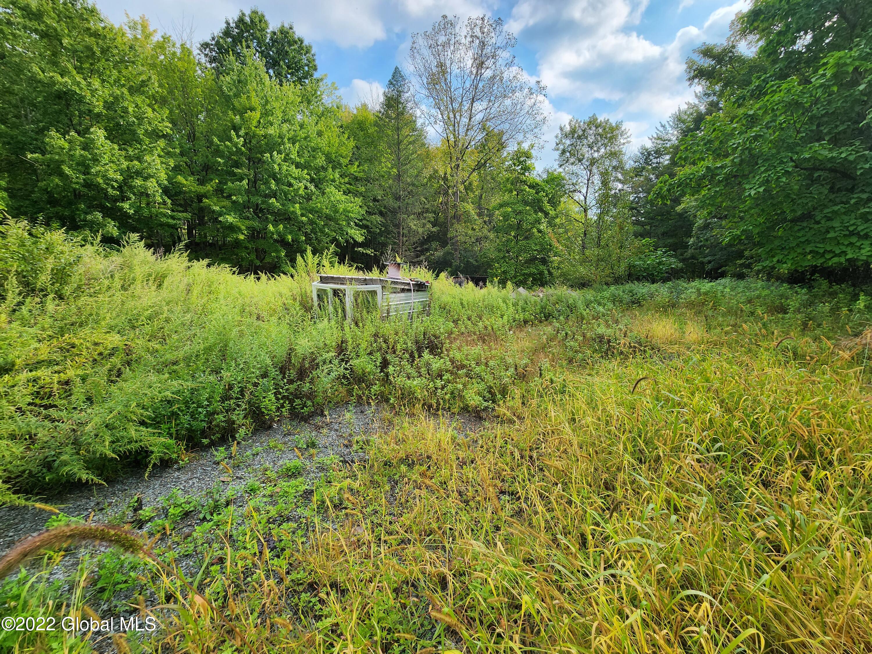 125 Slivko Road Nassau, NY 12123 - Photo 4 of 7 20220919_100411