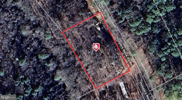 a outdoor space with lots of trees