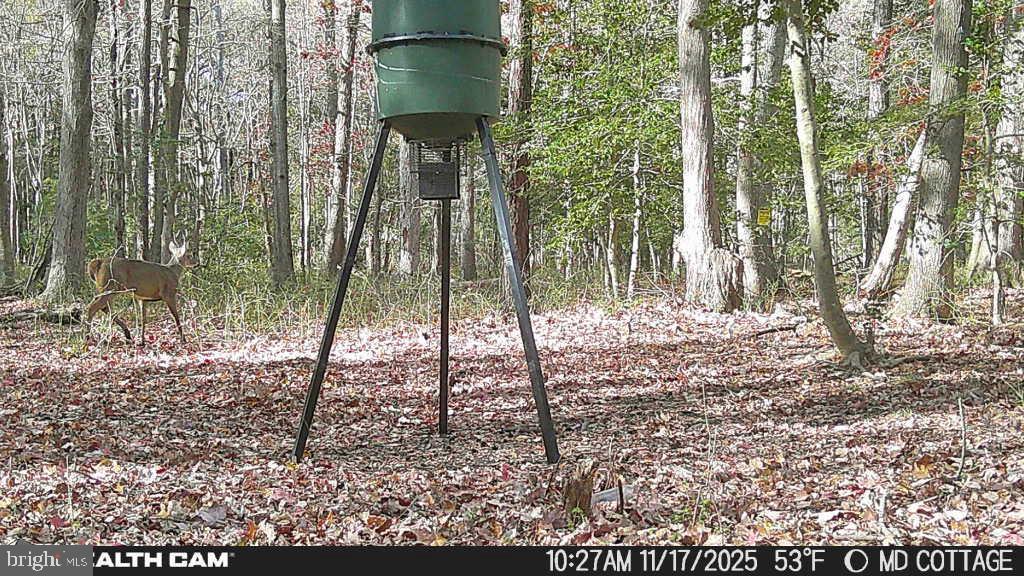 4424 Hooper Neck Road Taylors Island, MD 21669 - Photo 11 of 14 a view of outdoor space with green space