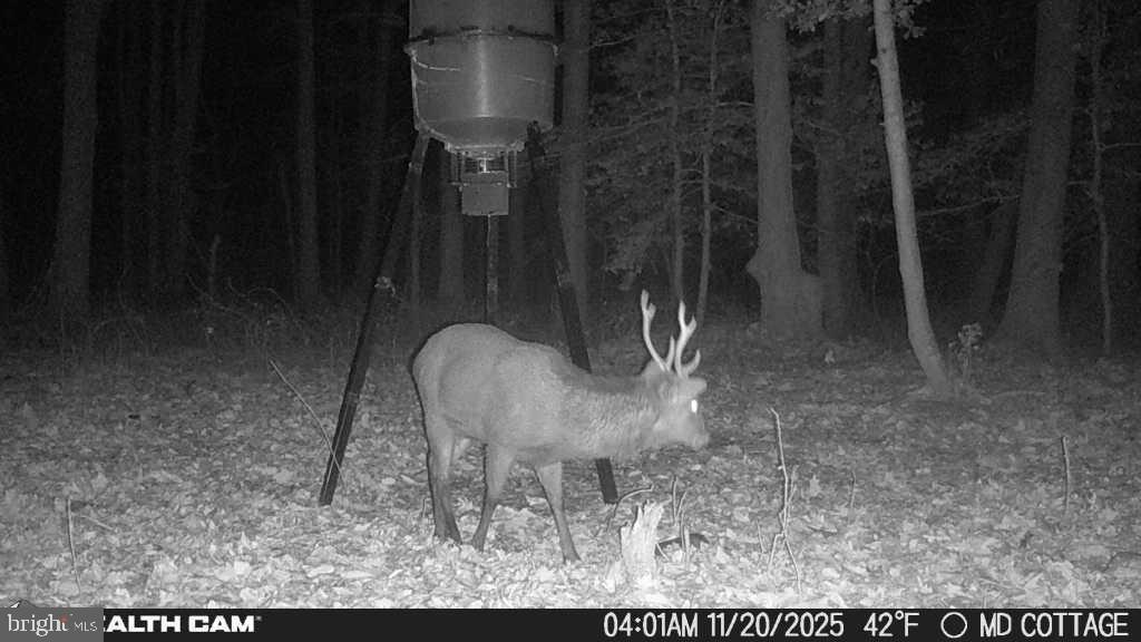 4424 Hooper Neck Road Taylors Island, MD 21669 - Photo 12 of 14 a view of a room
