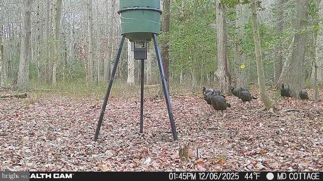 $79,000 | 4424 Hooper Neck Road, Taylors Island, MD 21669