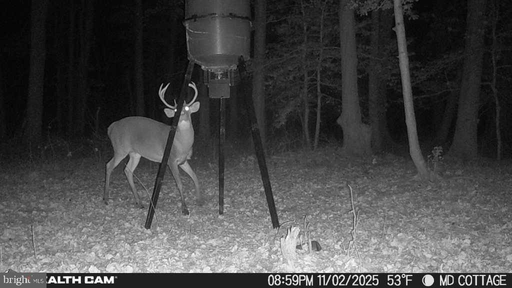 4424 Hooper Neck Road Taylors Island, MD 21669 - Photo 8 of 14 a view of a room