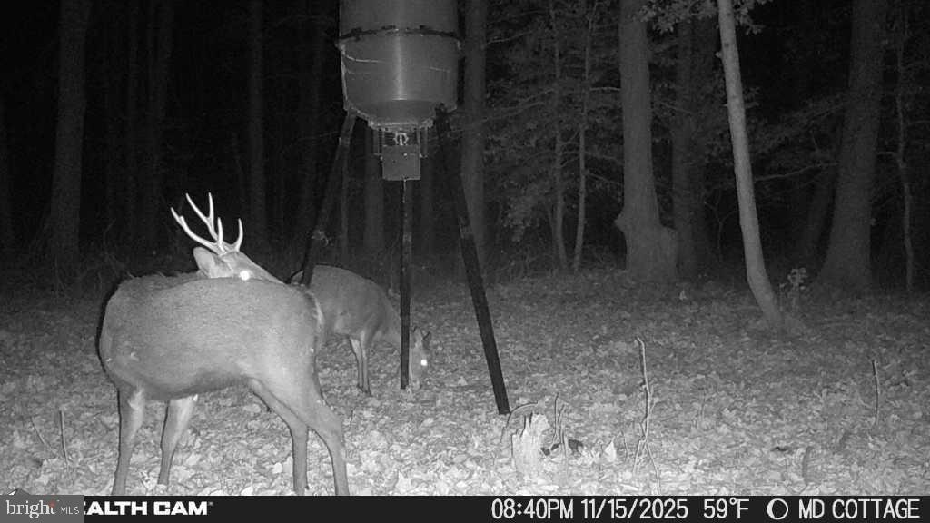 4424 Hooper Neck Road Taylors Island, MD 21669 - Photo 10 of 14