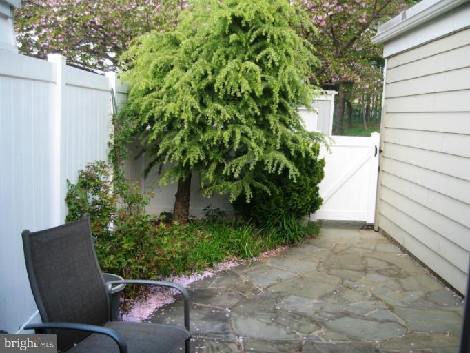 14652 Kelmscot Drive, Unit 236A Silver Spring, MD 20906 - Photo 6 of 21 Exterior (Rear)