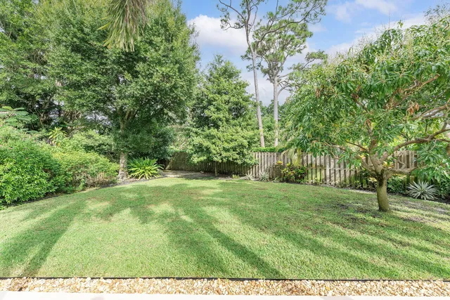 a view of a big yard with large trees